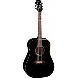 Cort EARTH100-BK