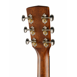 Cort EARTH80-NS