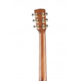 Cort EARTH80-NS
