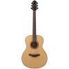 Акустическая гитара CRAFTER HT-250/N