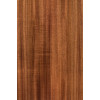 Акустическая гитара Maton EBW70C