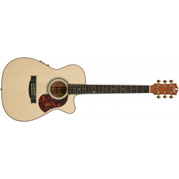 Maton EBG808C MICFIX