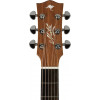 Электроакустическая гитара Maton EBG808TE