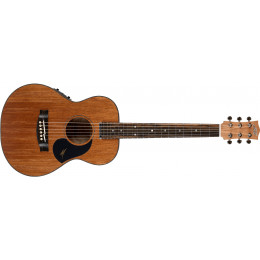 Maton EMBW-6