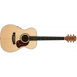Maton EBG808