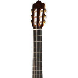 Prodipe JMFSOLOIST700 Soloist 700 4/4