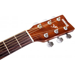 Yamaha F310-NT