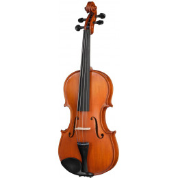 Gliga S-V044 Student Genial 1 Oil 4/4