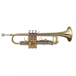 Soundsation STPGD-10 (S624S), труба Bb