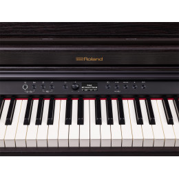 Roland RP701-DR