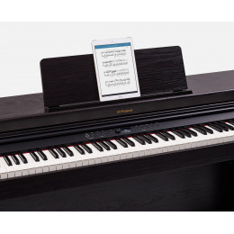 Roland RP701-DR