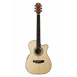 Maton EBG808C MICFIX