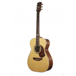 Maton EBG808TE