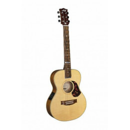 Maton EMTE