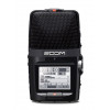 Zoom H2n