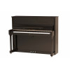 W.Steinberg 190046-1CK Performance P121