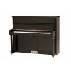 W.Steinberg 190049-1CK Performance P125E
