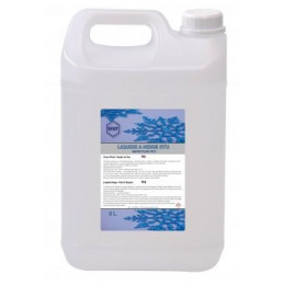 SFAT EUROSNOW STANDART CAN 5L