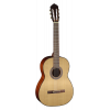Cort AC100-SG