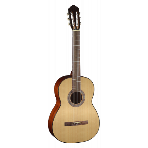 Cort AC100-SG