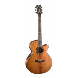 Cort SFX10-ABR