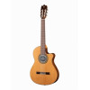 Alhambra 6.856 Cutaway 3C CT