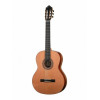 Kremona SA-C Artist Series Solea
