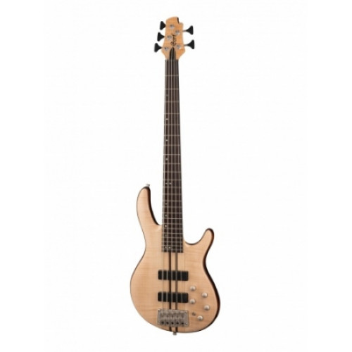 Cort A5-Plus-FMMH-OPN Artisan Series