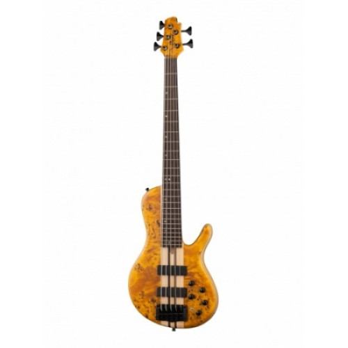 Cort A5-Plus-SC-AOP Artisan Series