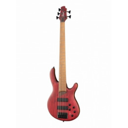 Cort B5-Element-OPBR Artisan Series
