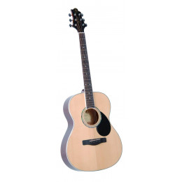 Greg Bennett GA100S/N