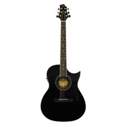 GregBennett GA100SCE/BK