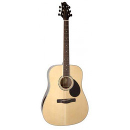 GregBennett GD100RS/N