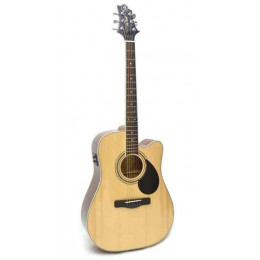 GregBennett GD100SCE/N