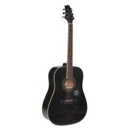 GregBennett GD101S/BK