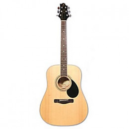 GregBennett GD101S/N